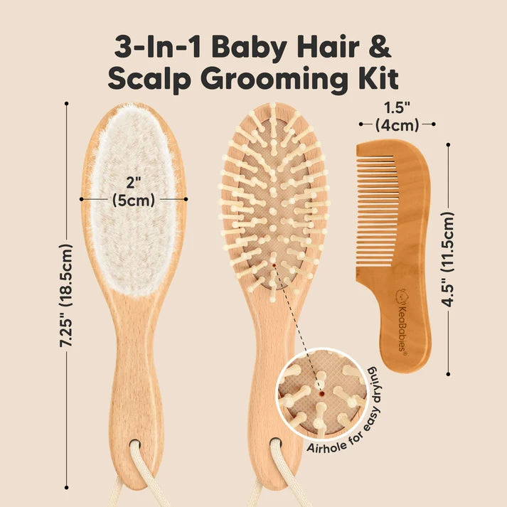 Dino Set Carter's + Hairbrush Set