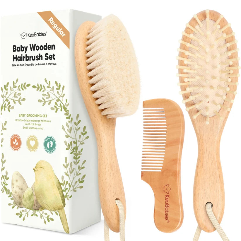 Dino Set Carter's + Hairbrush Set